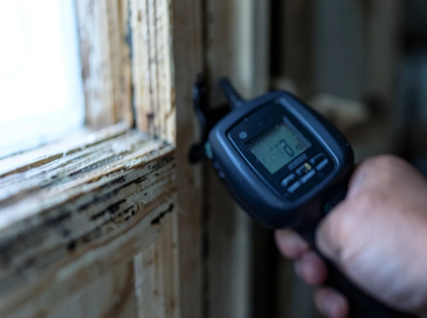 Moisture Inspection And Documentation in Manitowish Waters, WI